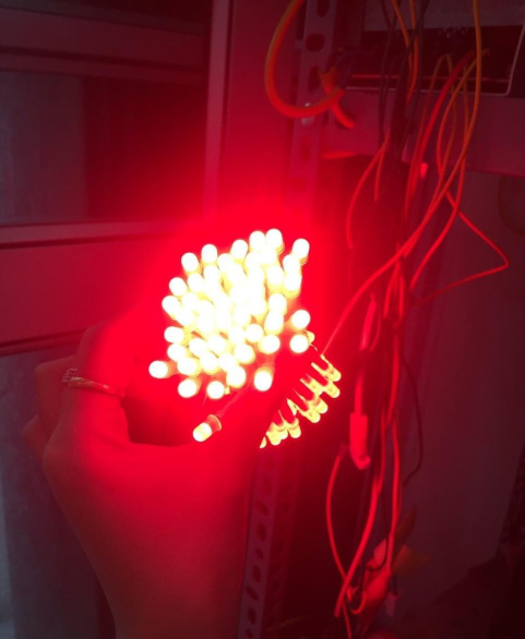 Led ruồi 5V