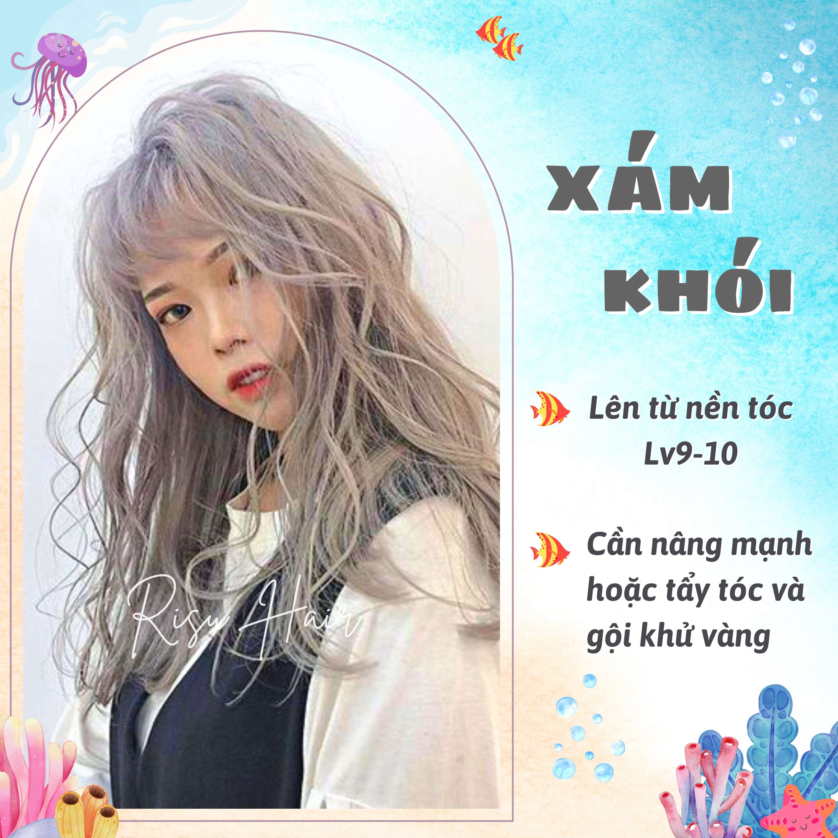Thuốc Nhuộm Tóc Màu Xám Khói - Risu Hair.