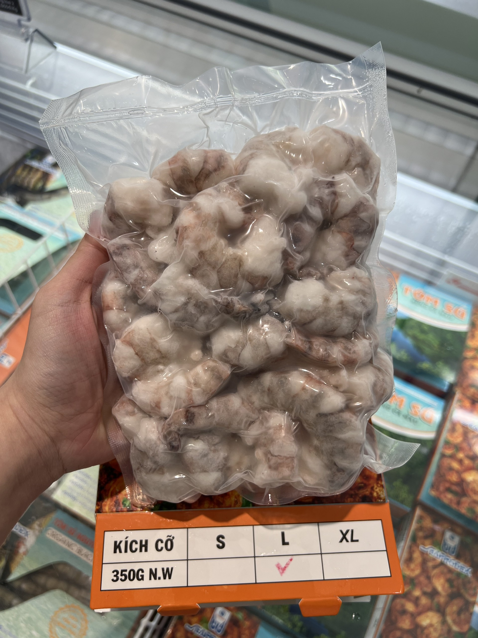 TÔM SÚ RỪNG CÀ MAU SEAPRODEX, KÍCH CỠ: L