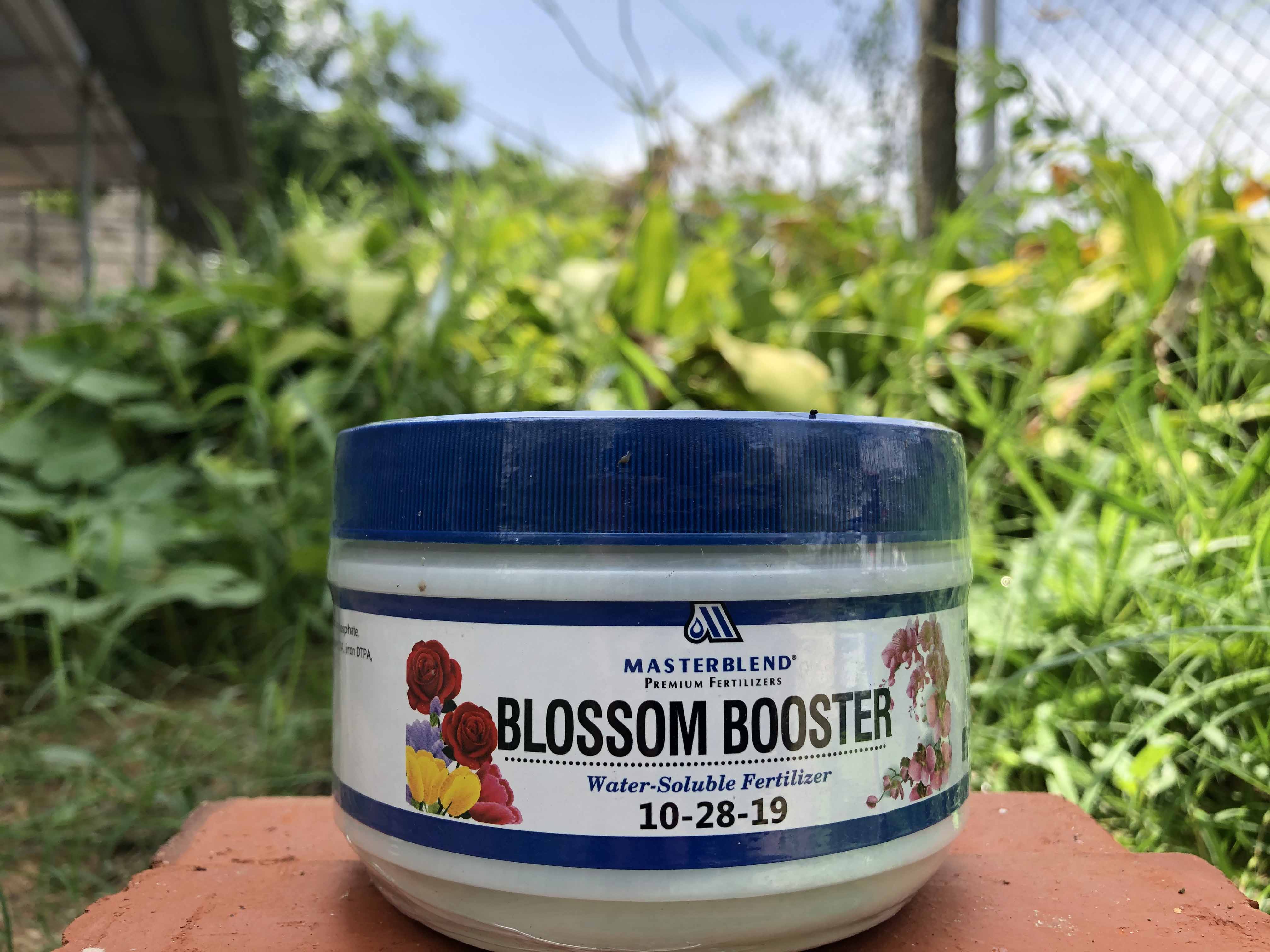Phân Kích ra hoa Masterblend 10-28-19 ( dùng cho Hoa Lan và Các Loại Hoa)