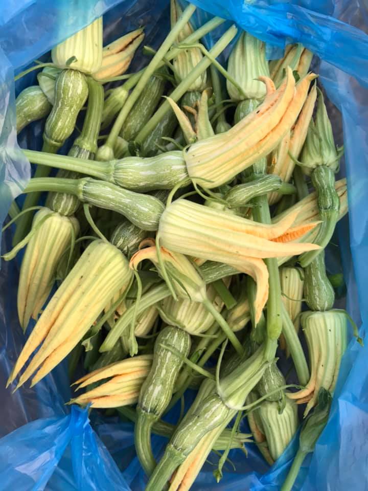 Hạt Giống Bí Nụ Ăn Non Giòn, Ngọt (0.5gr)