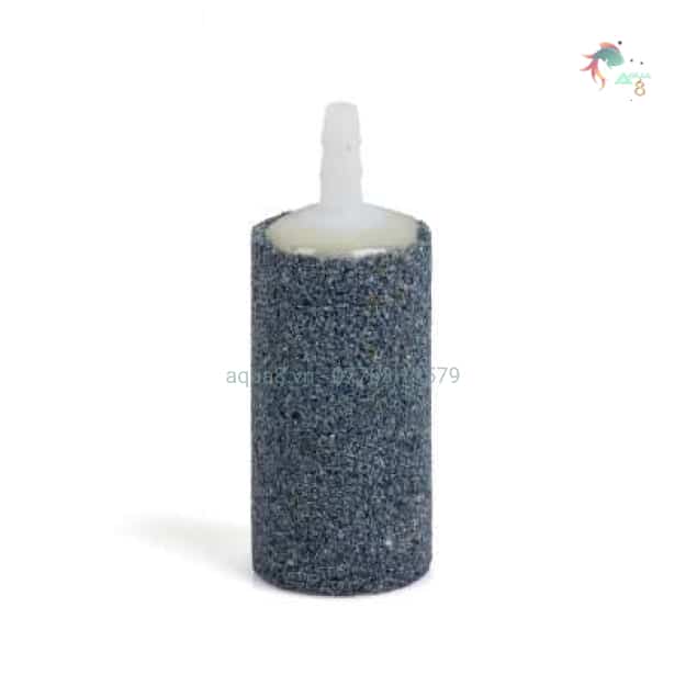Quả sủi trụ nhỏ