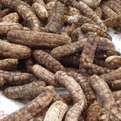 [HCM]1KG Chuối hột rừng tây nguyên - CAO CẤP