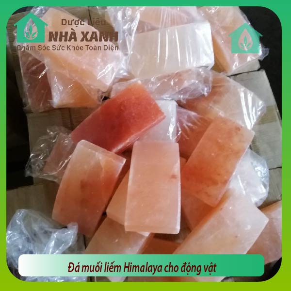 [HCM]Đá muối liếm Himalaya cho động vật - ( 10 Cục loại đá liếm mẻ)