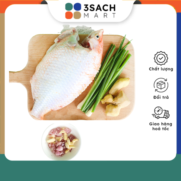 Chỉ Giao HCM RTC Cá Diêu Hồng Hấp Hành Gừng Khay 750gr
