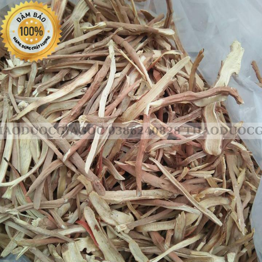 sâm cau đỏ rừng tây bắc 1kg (hàng khô đẹp)