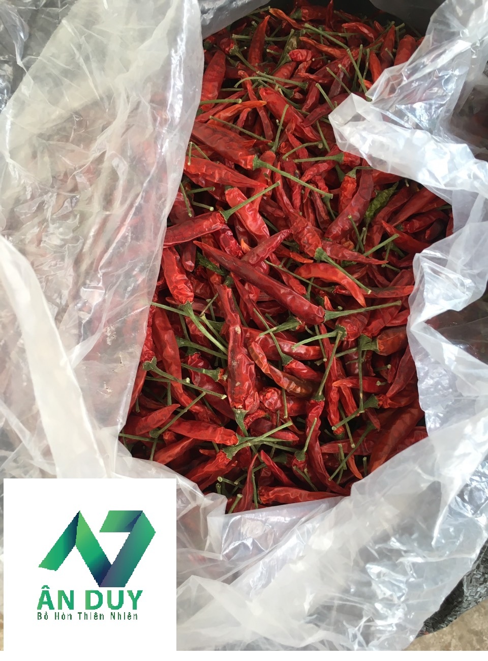ớt quả có cuống vụ mới 100g