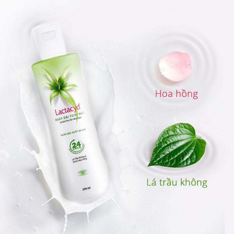 Dung dịch vệ sinh phụ nữ Lactacyd lá trầu không (chai 250ml)