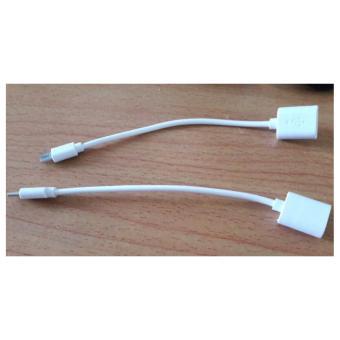 Cáp OTG Type C (USB 2.0)