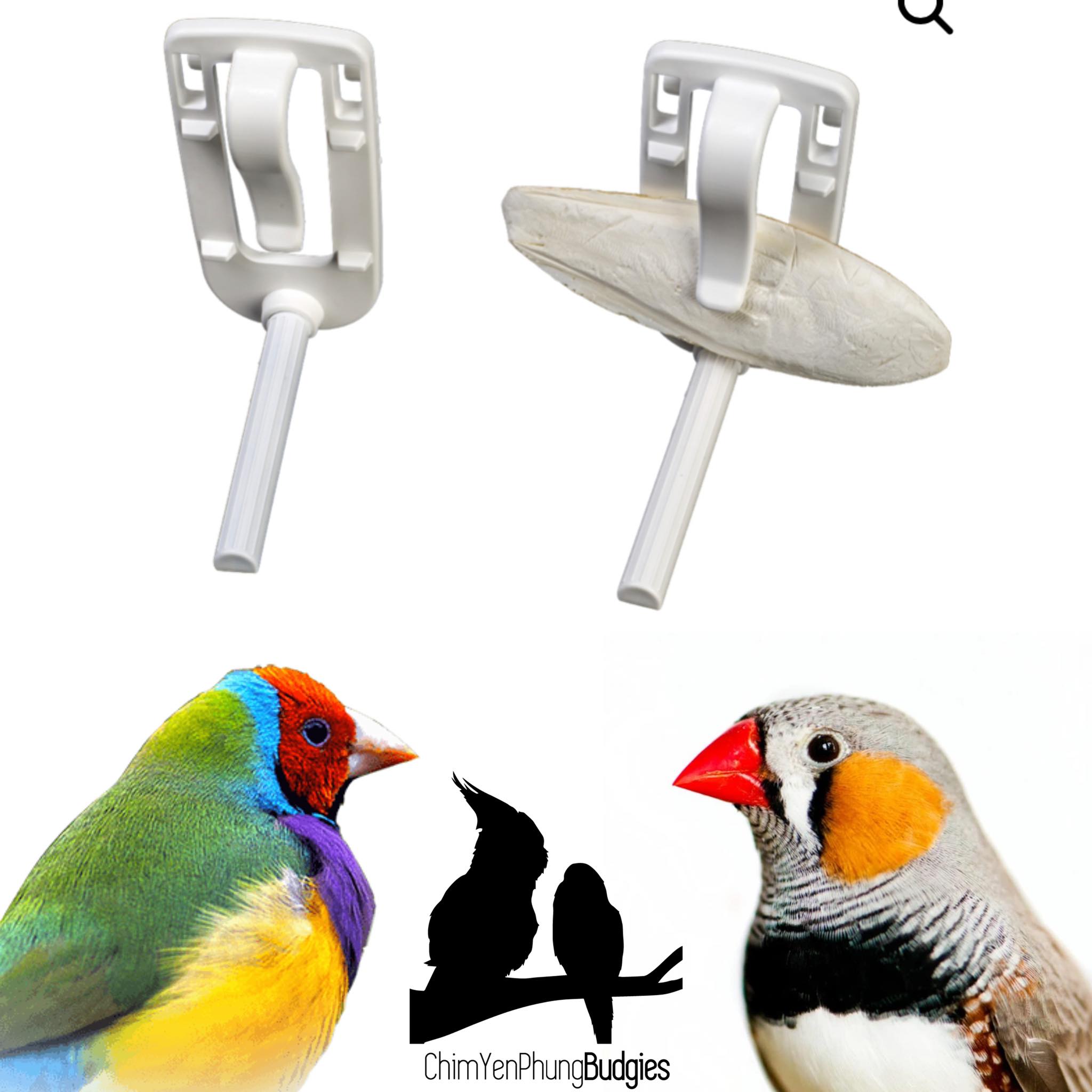 Kẹp mai mực/rau củ cho chim cảnh có cầu đứng, xuất xứ: Ý