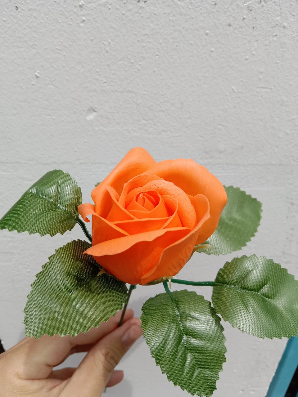 Cành hoa hồng sáp