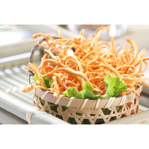 Nấm đông trùng hạ thảo tươi "Cordyceps"