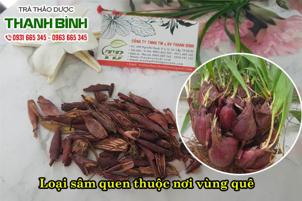 Combo 2kg Sâm Đại Hành Khô Loại 1 - Thảo Dược Thanh Bình