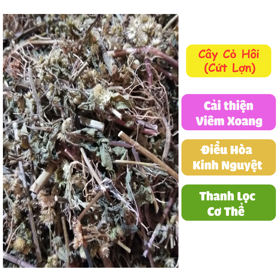 [New Arrivals] Dried Stinkweed Plant 500g (Fragrant, Clean) - Tan Phat Herbs