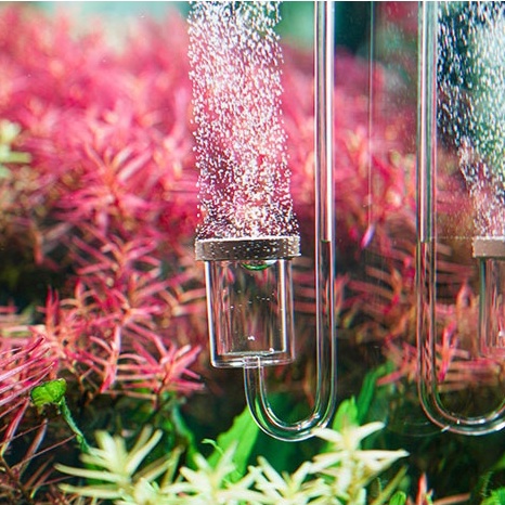 Sủi CO2 siêu mịn Neo Diffuser Aquario Hàn Quốc chất lượng và độ bền cao