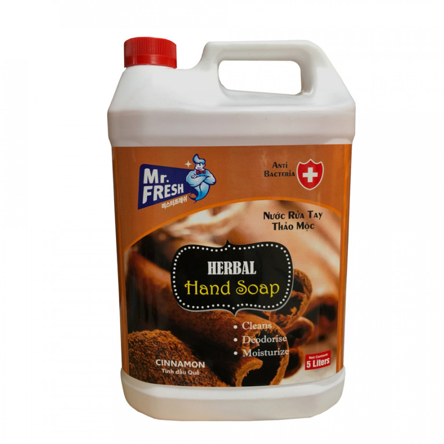 [HCM]Nước rửa tay Mr.Fresh 5L ( hương táo  dâu  quế )
