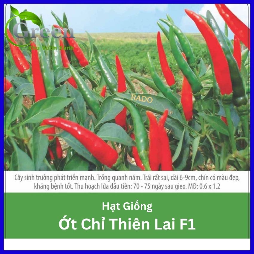 Hạt Giống Ớt Chỉ Thiên Lai F1 (Ớt Hiểm)