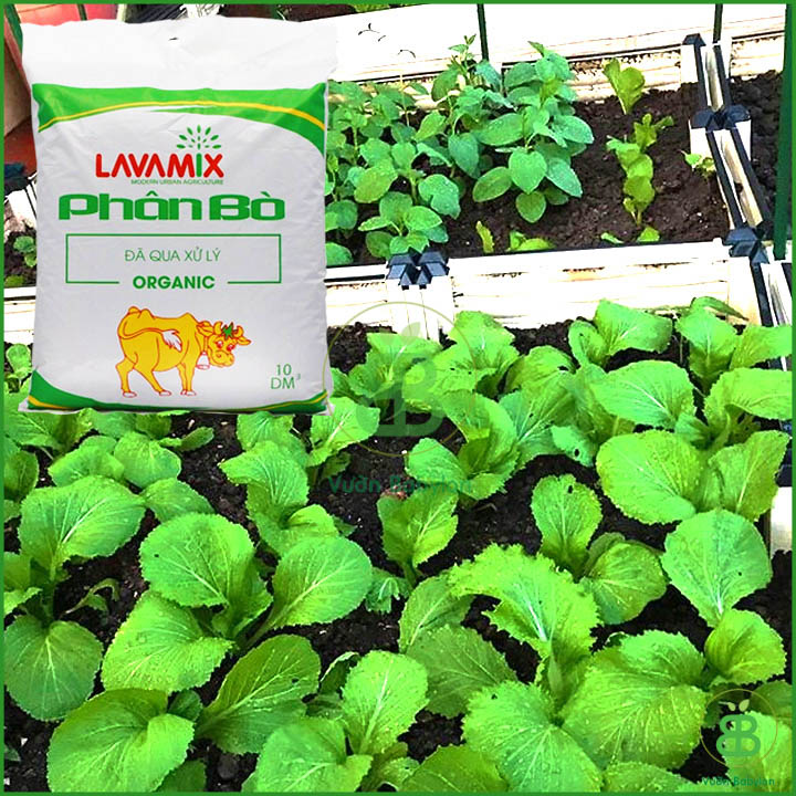 Phân Bò Lavamix  Đã Qua Xử Lý - 10dm3