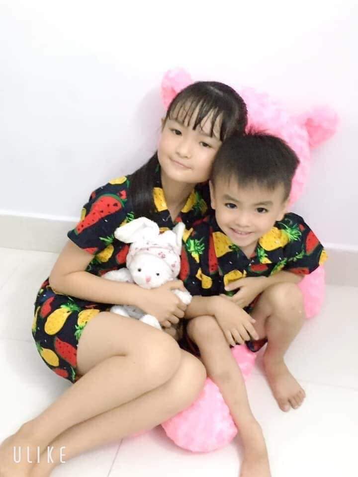 Bộ trái cây - Dưa dứa