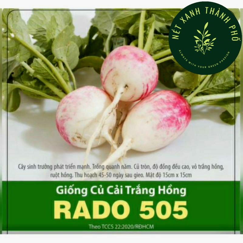 [GIAO HÀNG 2 GIỜ] Hạt giống củ cải trắng hồng 1gr