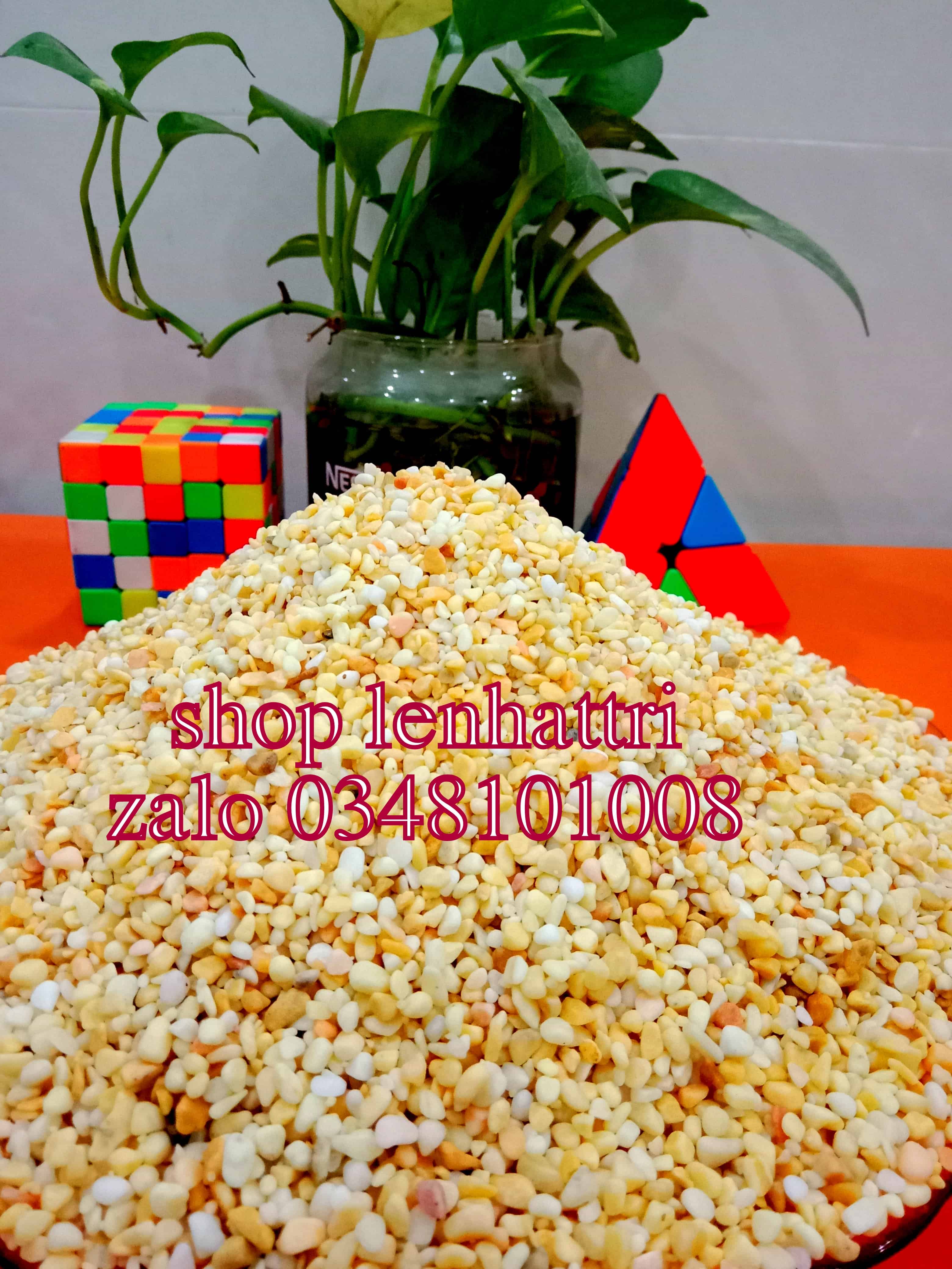 Vỏ trấu trấu sống 1kg