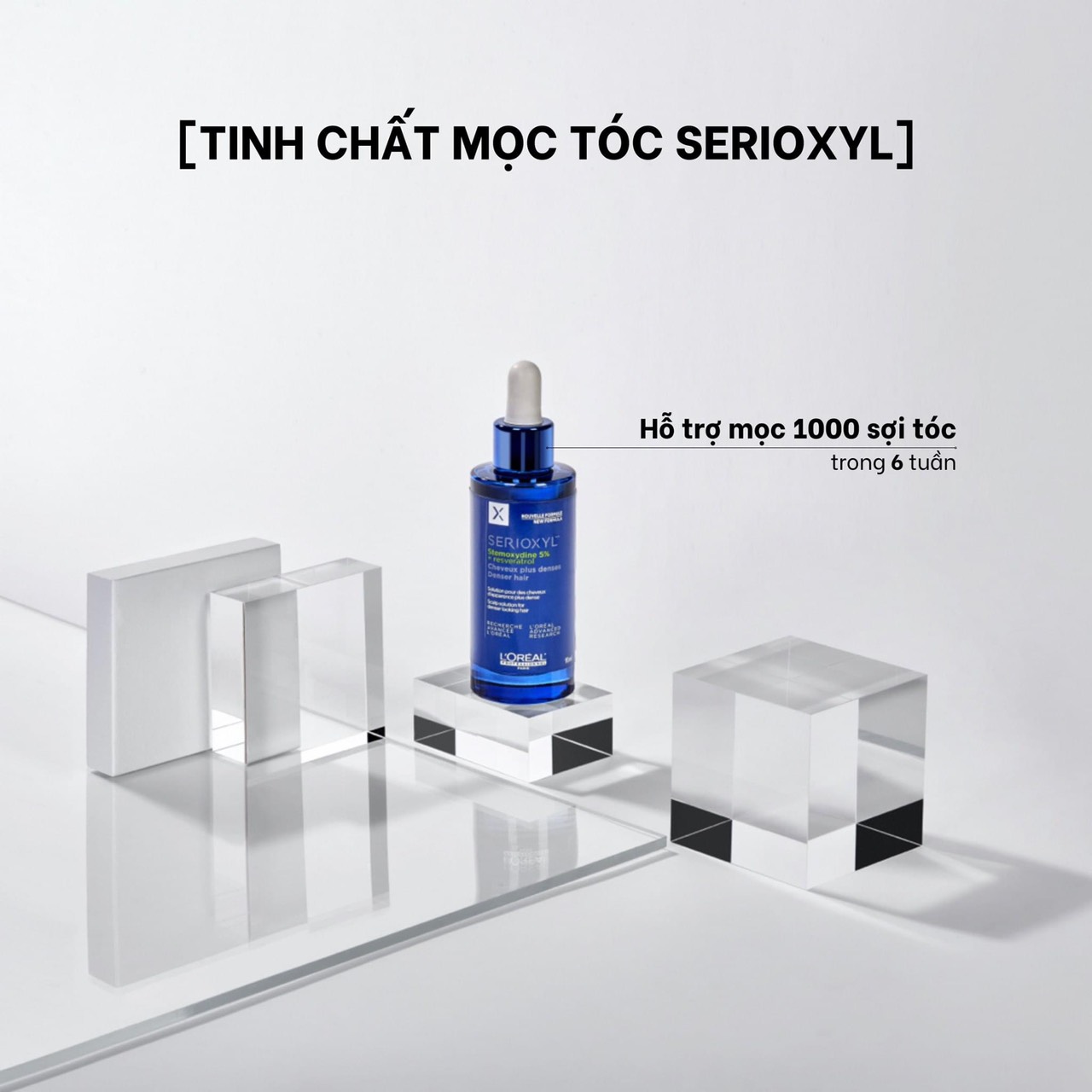 Tinh Chất L'Oréal Professionnel Kích Thích Mọc Tóc 90ml Serioxyl Denser Hair