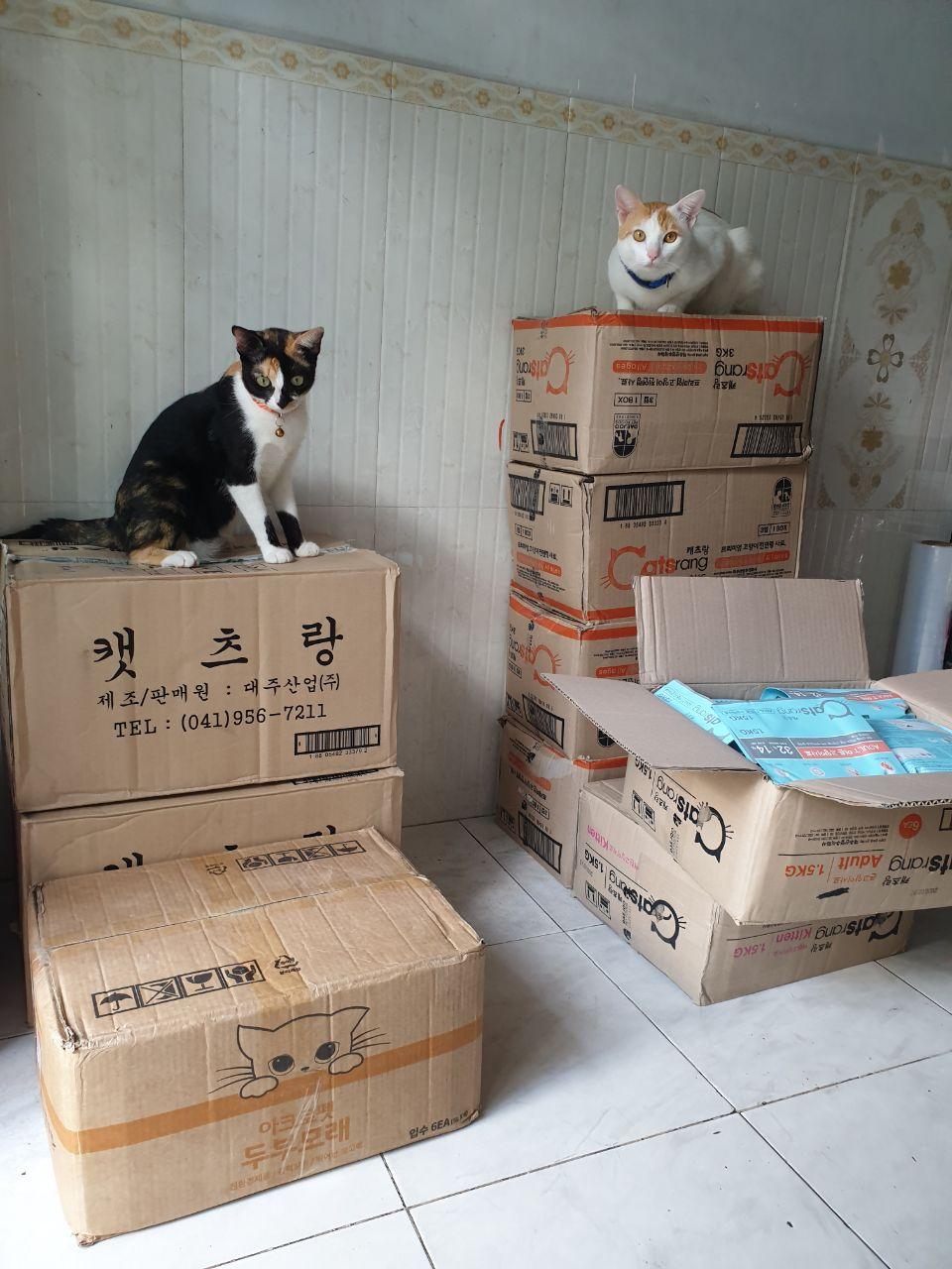 Catsrang 3Kg - Thức ăn hạt cho mèo mọi lứa tuổi