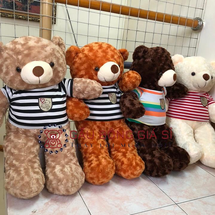[HCM]Gấu bông Teddy khổ vải 80cm màu Sữa