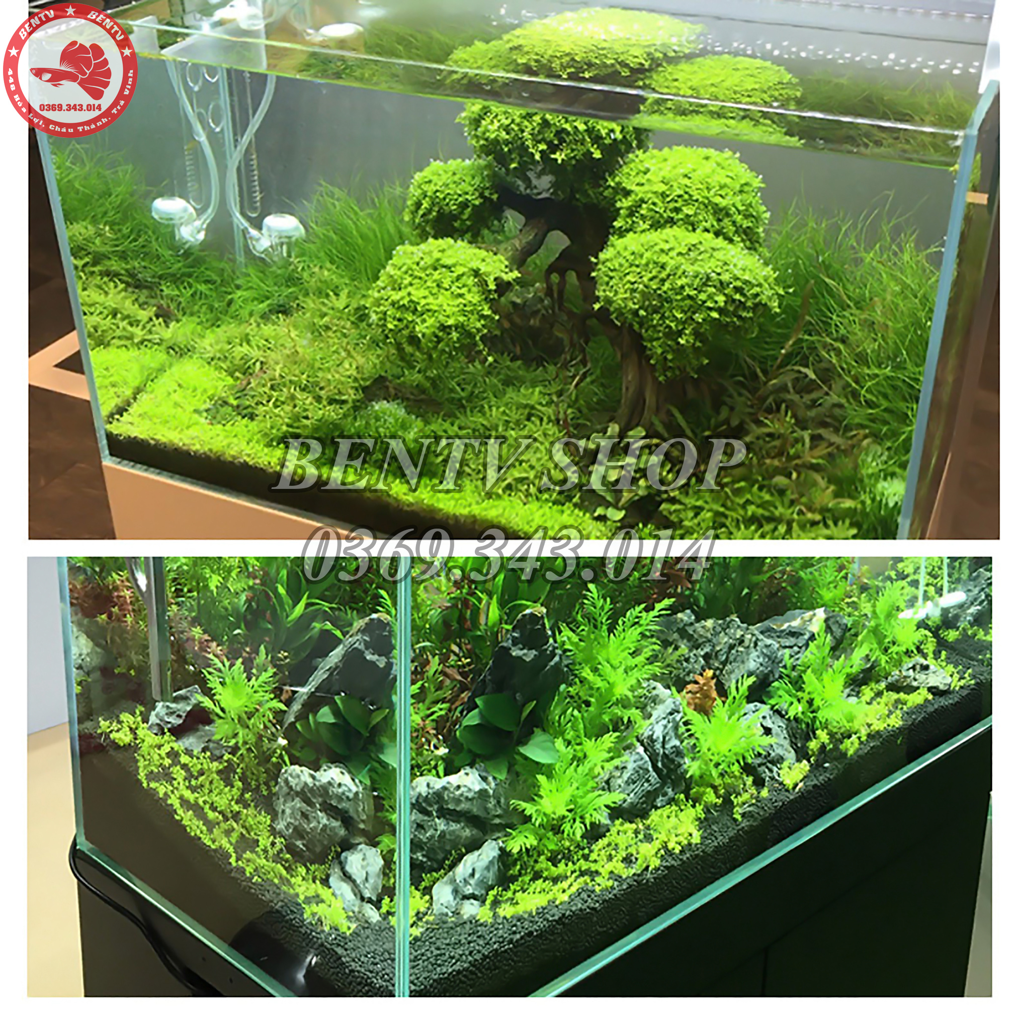 Phân Nền Thủy Sinh Aquarium Function Soil - Phân Nền Sản Xuất Tại Nhật 3 Lít