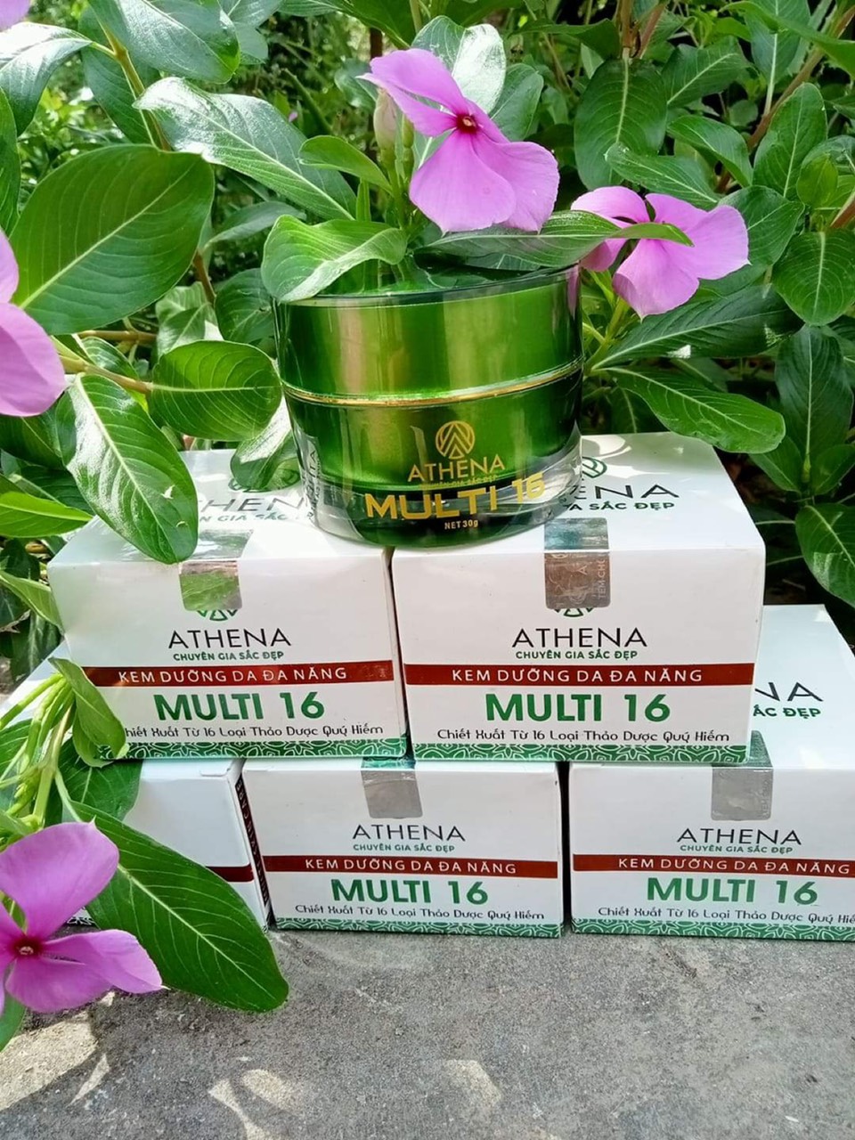 [100% CHÍNH HÃNG ] Kem Rạn Da Multi 16 - Làm Mờ Rạn Da Sau Sinh Và Rạn Da Do Tăng Cân (20g)