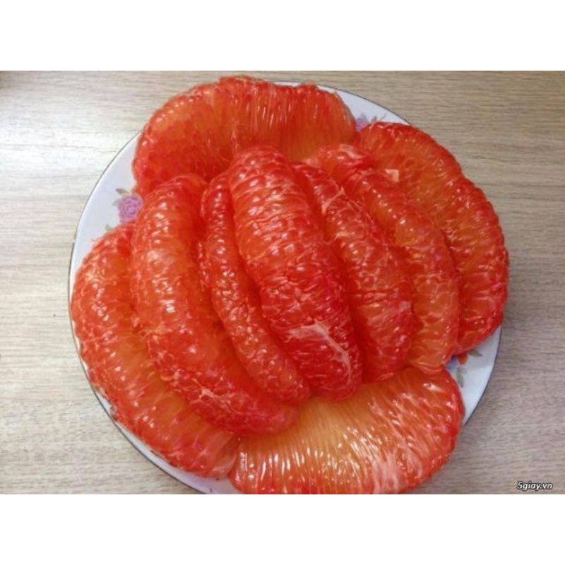 Cây Bưởi da xanh ruột hồng (cây giống có bảo hành )