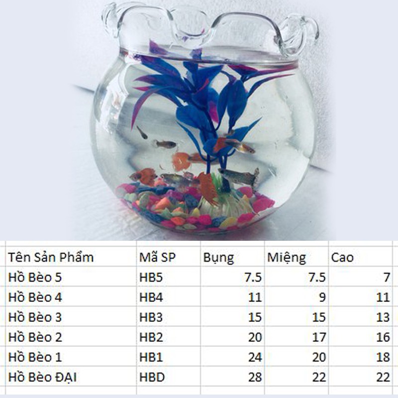 [HCM]Hồ cá để bàn ???? Bể cá Mini thủy sinh TAI BÈO