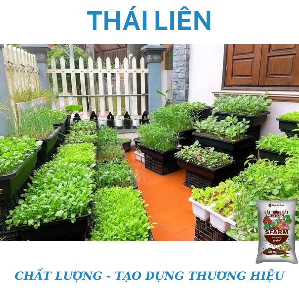 [Túi chiết 2kg] Đất trồng cây đa dụng Sfarm có chứa đất thịt tự nhiên