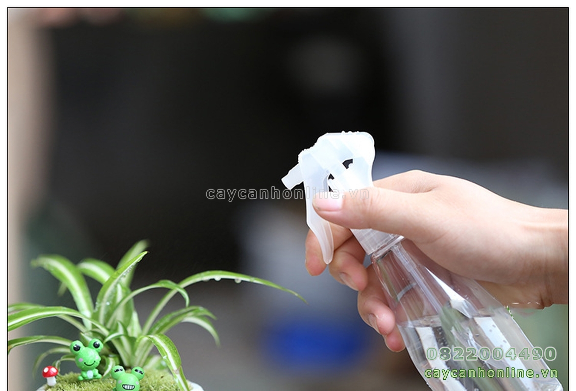 Bình xịt nước tưới cây cảnh mini cây cảnh để bàn