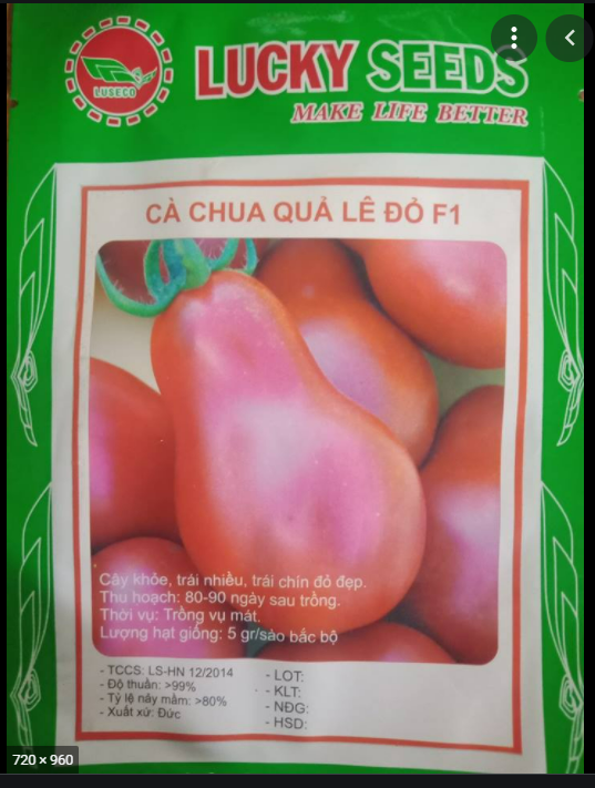 Hạt giống cà chua lê đỏ gói 30h
