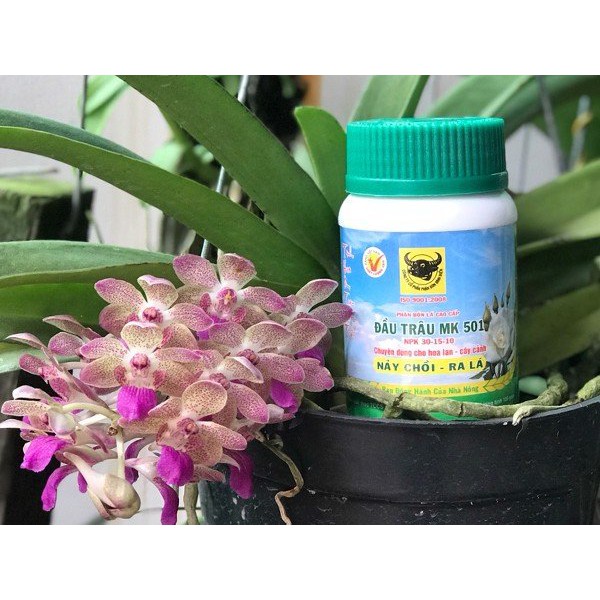 Phân bón lá đầu trâu 501 ra chồi ra lộc - lọ 100g