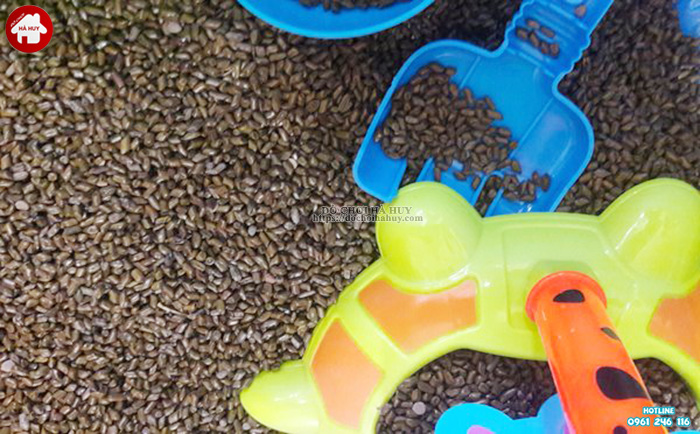 Combo 2kg Hạt Muồng ( Thảo Quyết Minh) làm trà