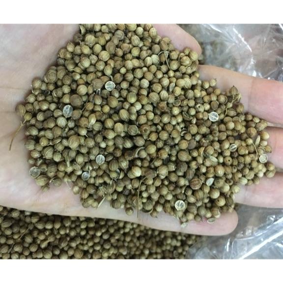 1kg hạt mùi hạt ngò
