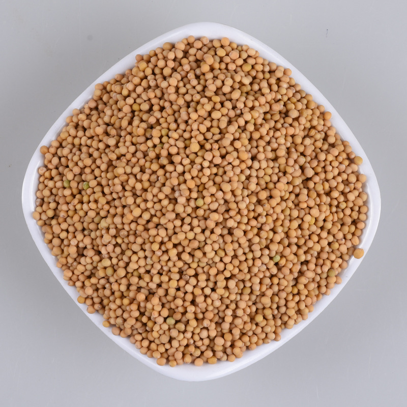 [HOT] Bạch giới tử sấy khô 500g - Thảo Dược Tấn Phát