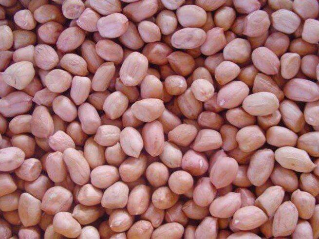 Đậu phộng sống (lạc sống)  500 gram