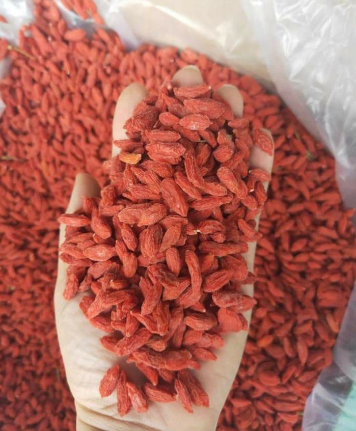 💥 (100G)  KỲ TỬ ĐỎ NINH HẠ SIZE TO ĐẠI KHÔ ĐẸP