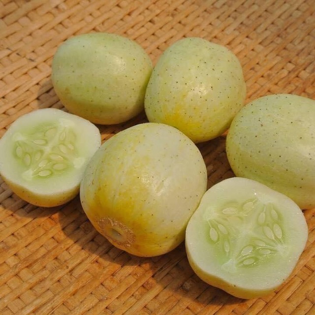 Hạt Giống Dưa Chuột Baby Lemon