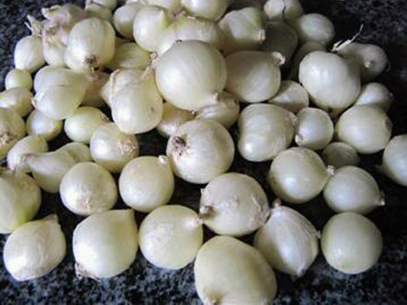 3kg Củ hành tăm Nghệ An (Củ nén)