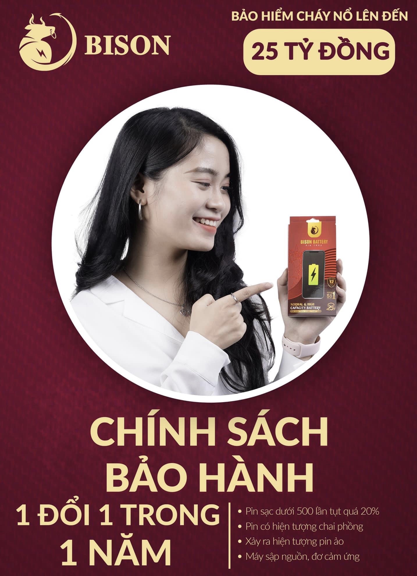 Pin BISON (Pin Con Trâu) Siêu Trâu Siêu Bền - Bảo Hành 12 Tháng
