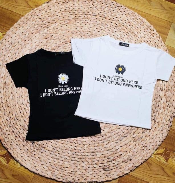 Áo croptop hoa cúc cánh trắng HSU0220