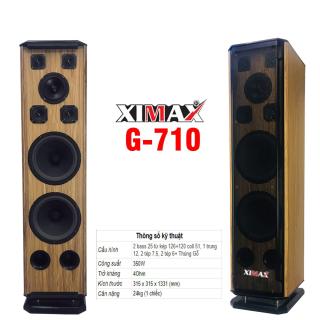 Loa Đứng XIMAX G-710 bass 25 thumbnail