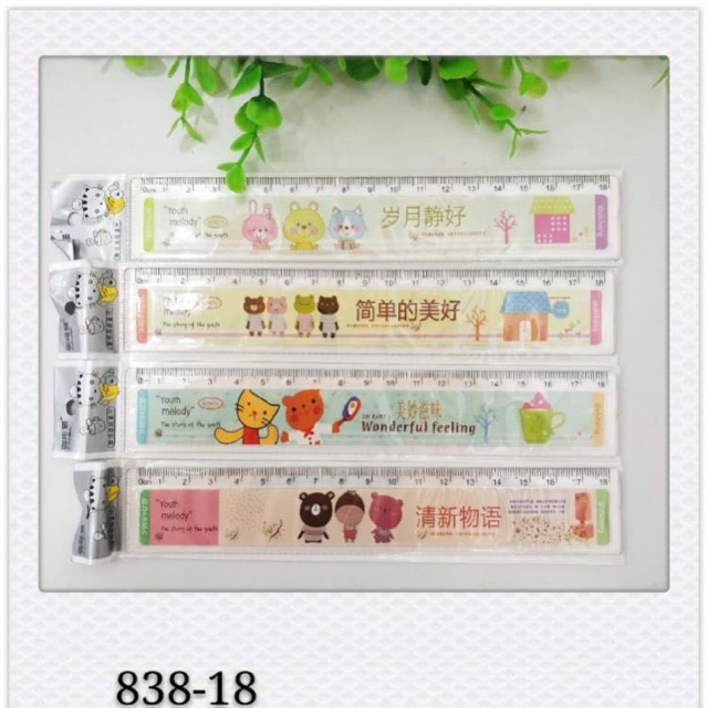 1 Cây Thước kẻ 18cm 838