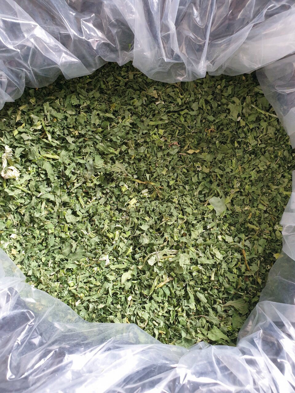 (TẶNG BÌNH DETOX )Bột cần tây sấy lạnh 100% nguyên chất (100Gr)