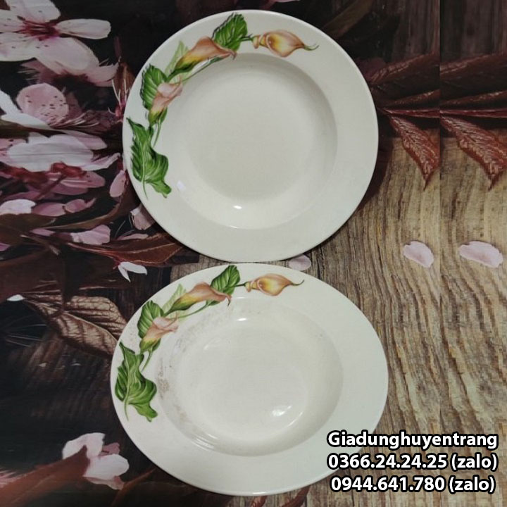dĩa sứ họa tiết - dĩa sứ lòng sâu