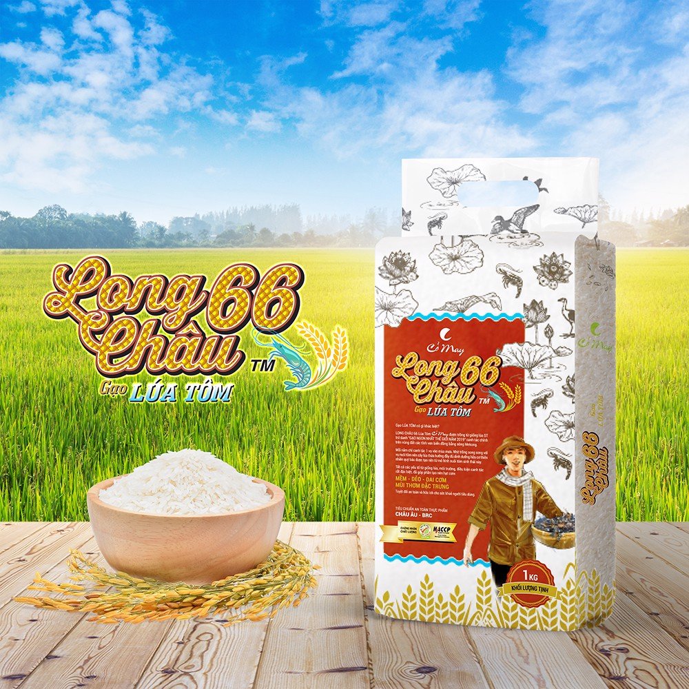 Gạo Long Châu 66 Lúa Tôm